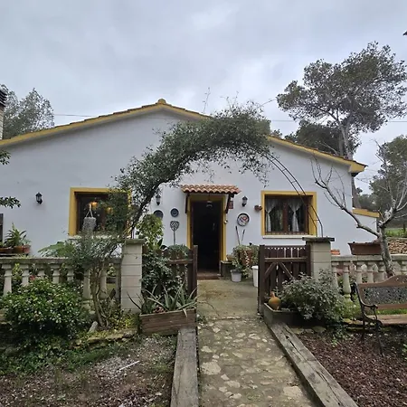 Valldemar *