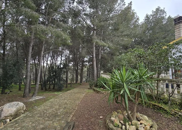 Valldemar *